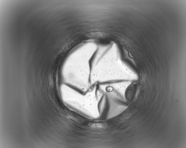 X0000063500751200602172118