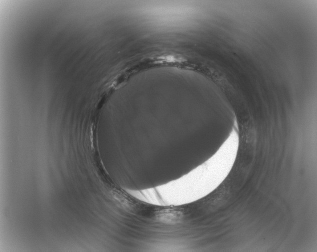 X0000063500754200602172118