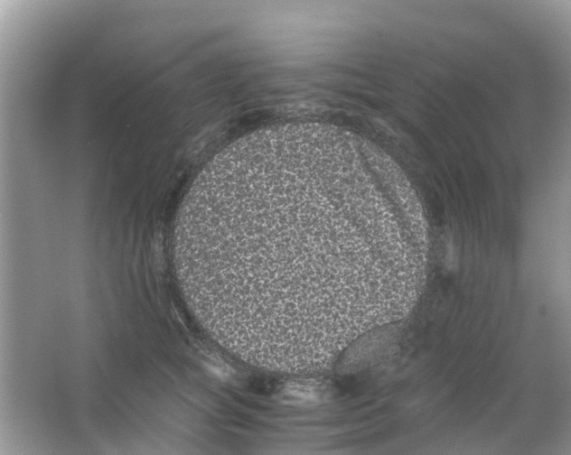 X0000063500757200602172119