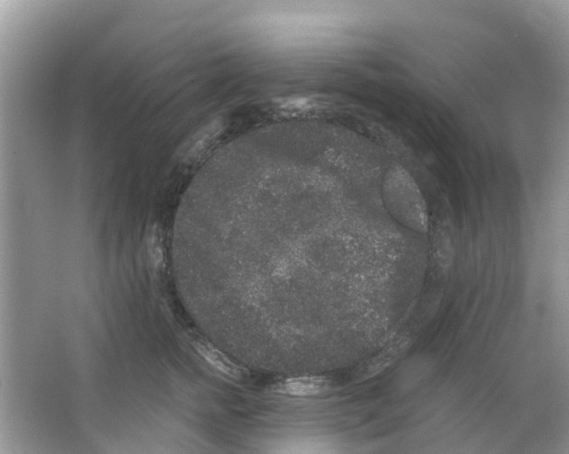 X0000063500758200602172119