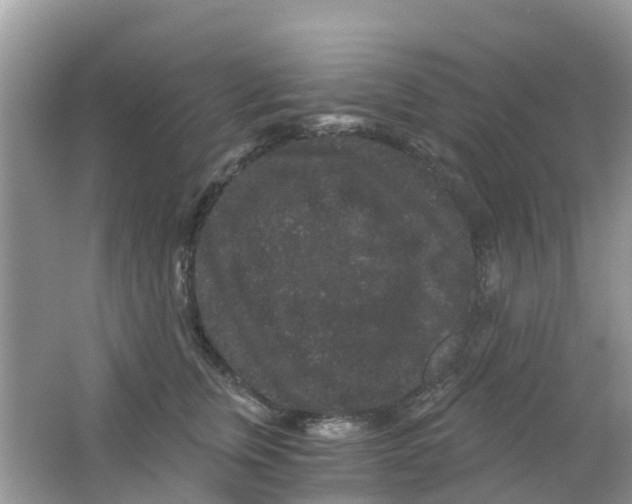 X0000063500759200602172119