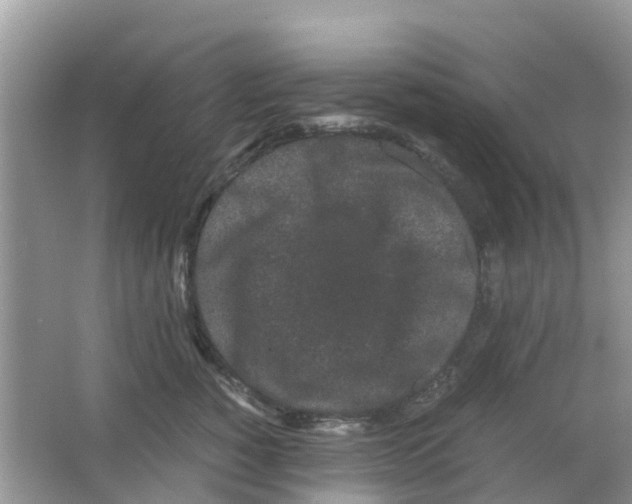 X0000063500760200602172119