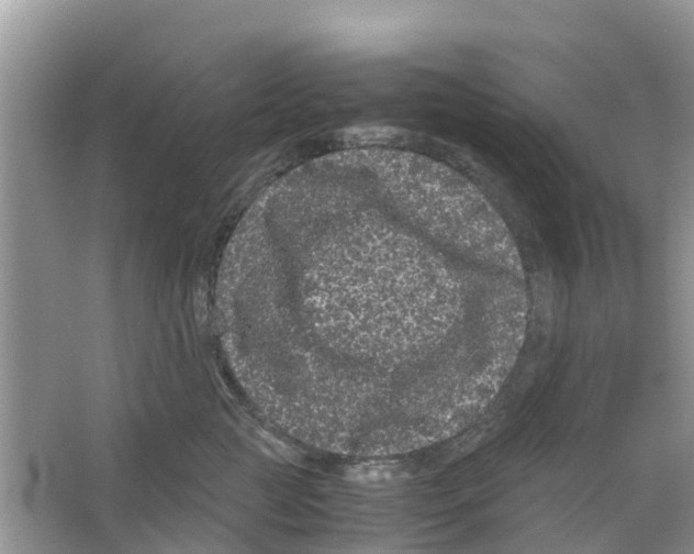 X0000063500761200602172119