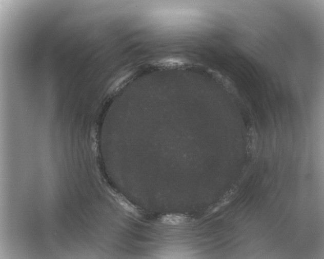 X0000063500762200602172119