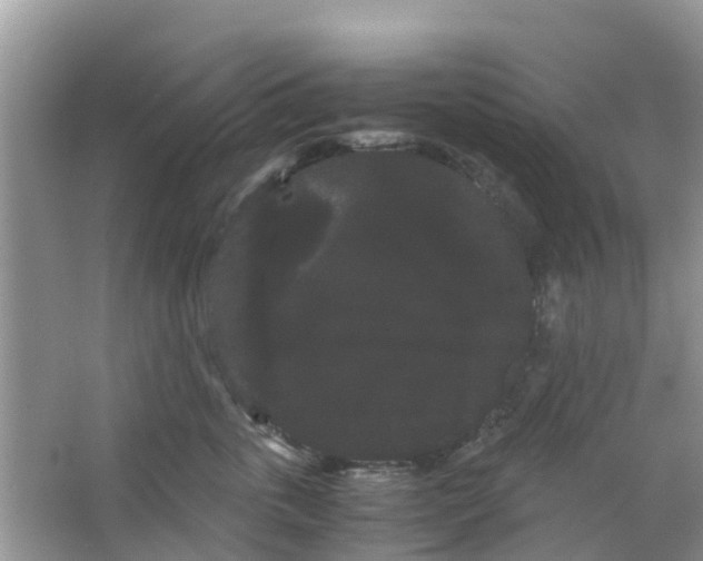 X0000063500763200602172119