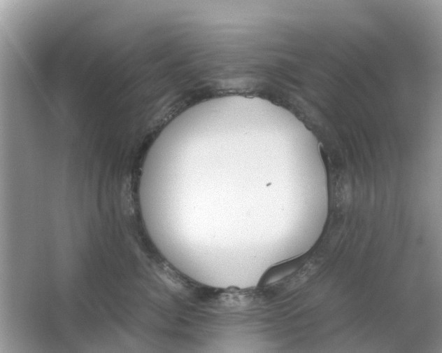 X0000063500764200602172119