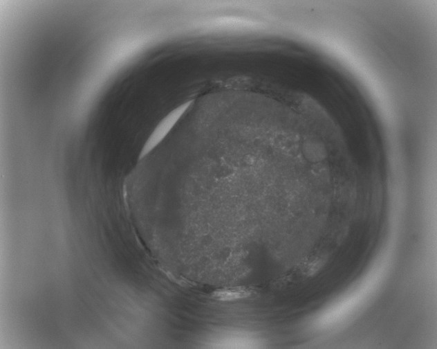 X0000063500765200602172119