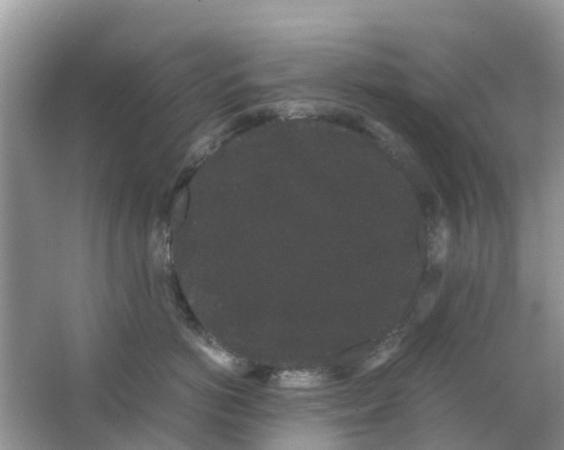 X0000063500766200602172119