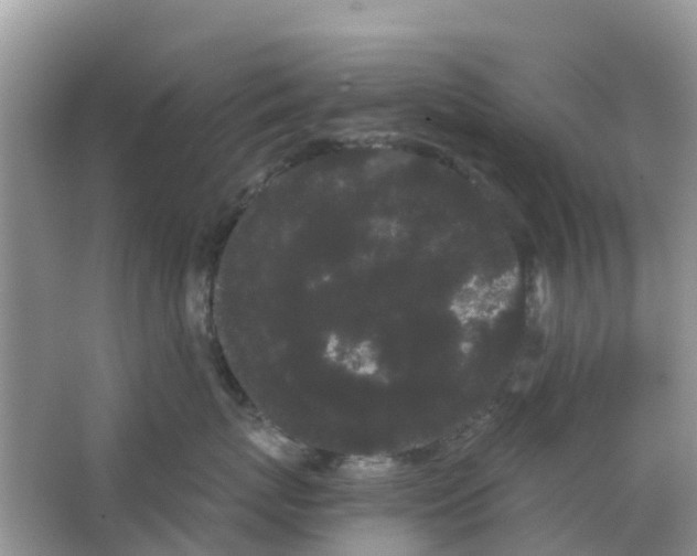 X0000063500767200602172119