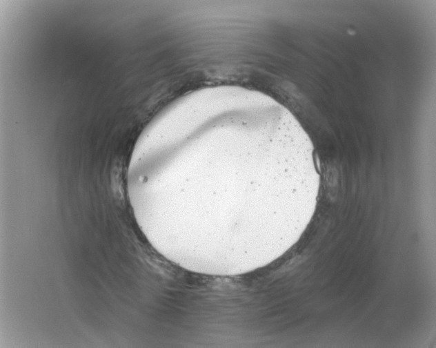 X0000063500770200602172118