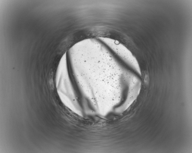 X0000063500771200602172118