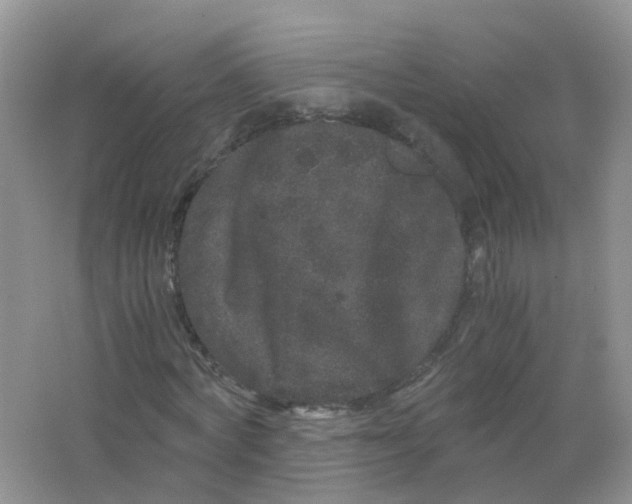 X0000063500772200602172118