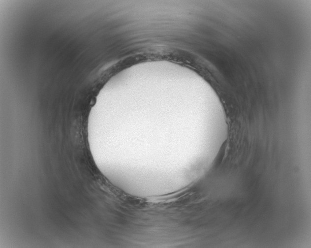 X0000063500773200602172118