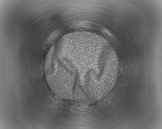 X0000063500774200602172118