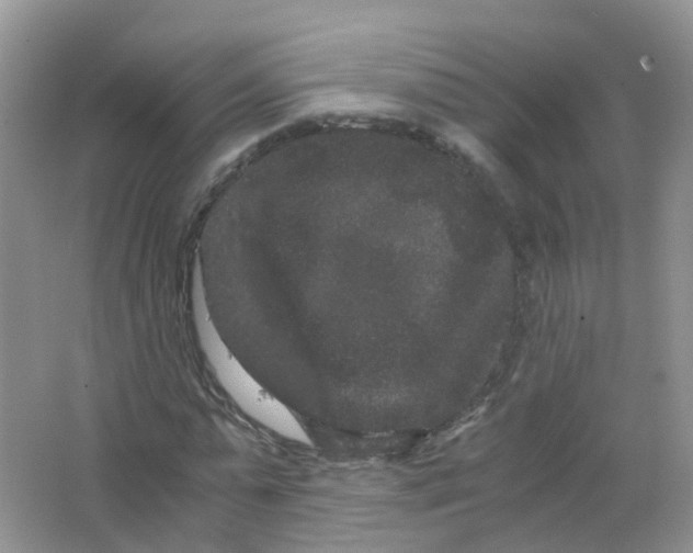 X0000063500775200602172118