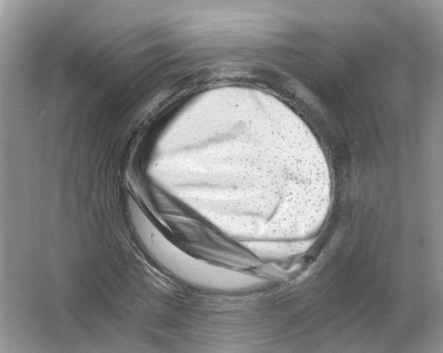 X0000063500777200602172118