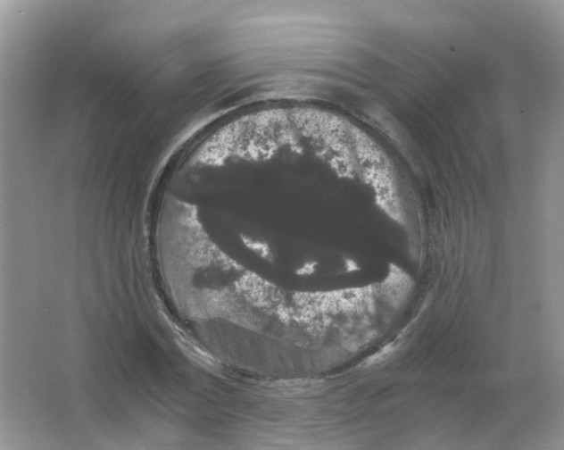 X0000063500779200602172118