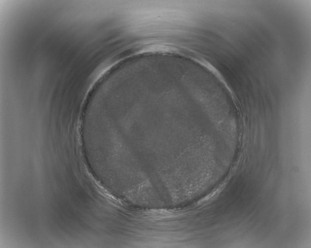 X0000063500783200602172118