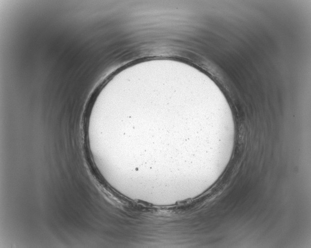 X0000063500787200602172118