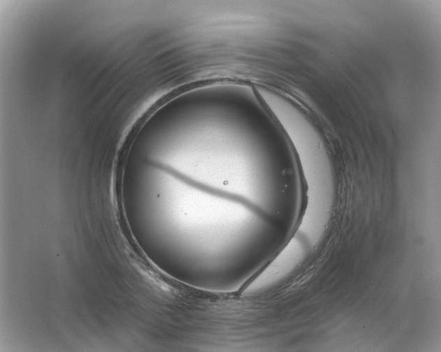 X0000063500788200602172118