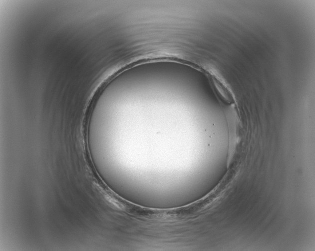 X0000063500789200602172118