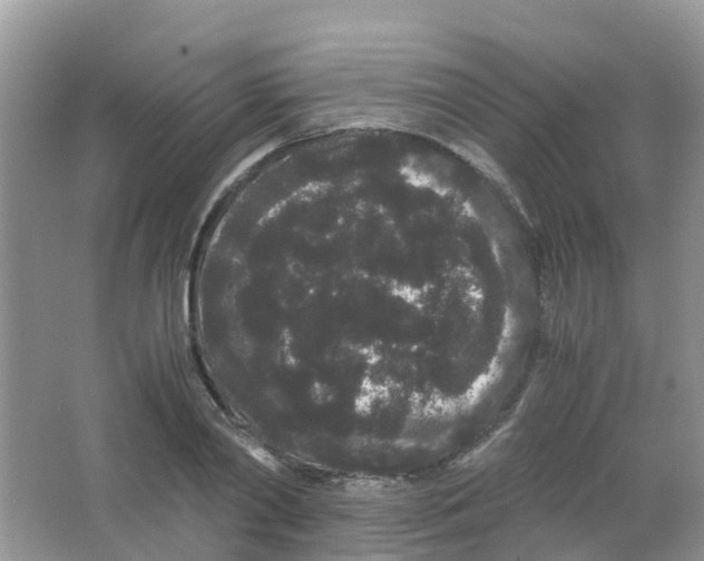 X0000063500790200602172117