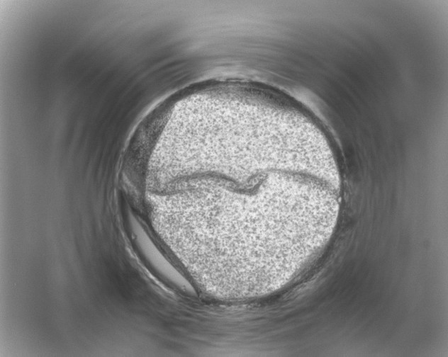 X0000063500791200602172117