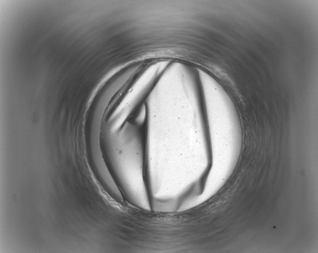 X0000063500792200602172117