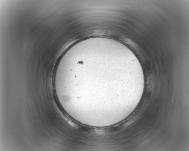 X0000063500794200602172117