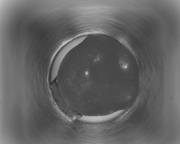 X0000063500797200602172117