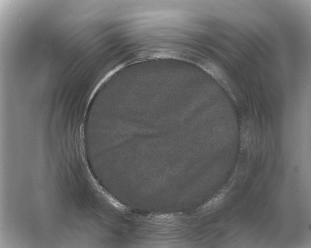 X0000063500798200602172117