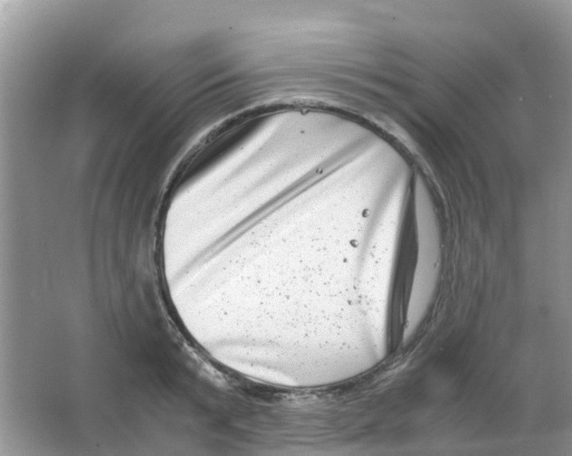 X0000063500799200602172117