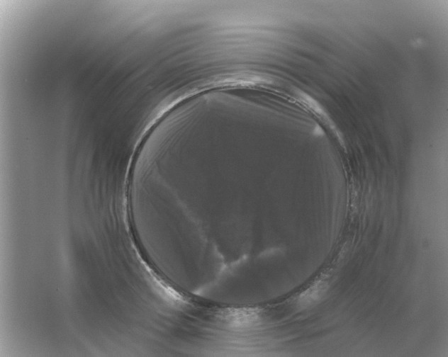 X0000063500802200602172117