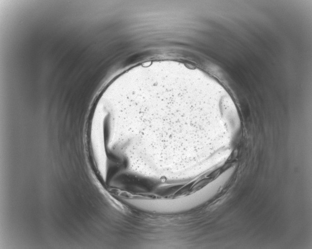 X0000063500803200602172117