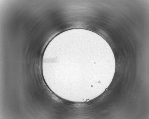 X0000063500804200602172117