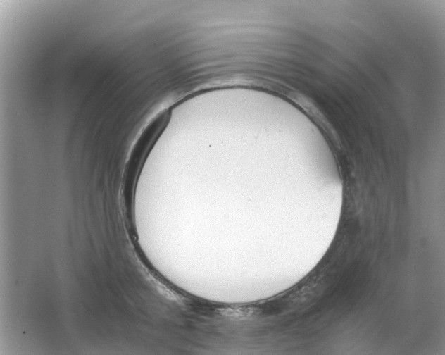 X0000063500805200602172117