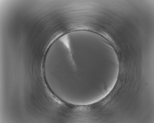 X0000063500806200602172117