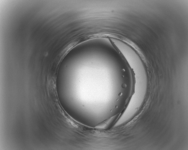 X0000063500809200602172117