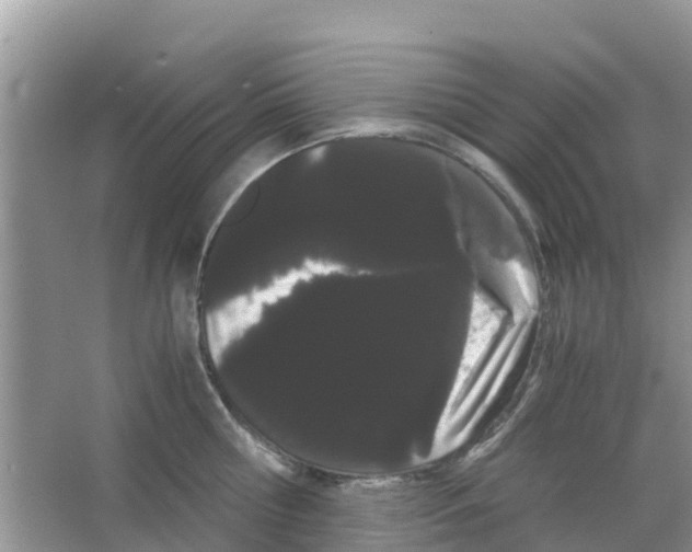 X0000063500810200602172117