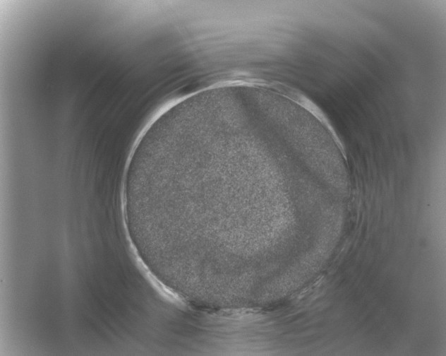 X0000063500811200602172117