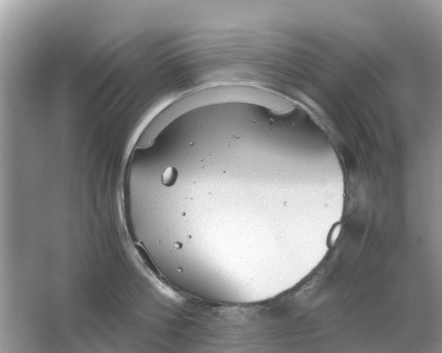 X0000063500812200602172117