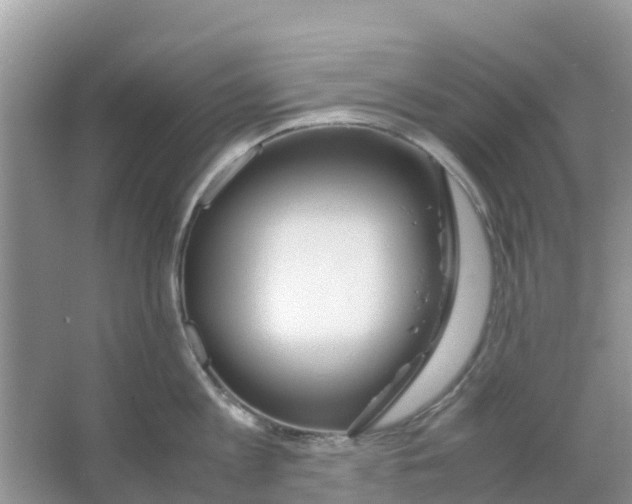 X0000063500813200602172117