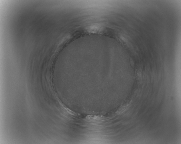 X0000063500817200602172116