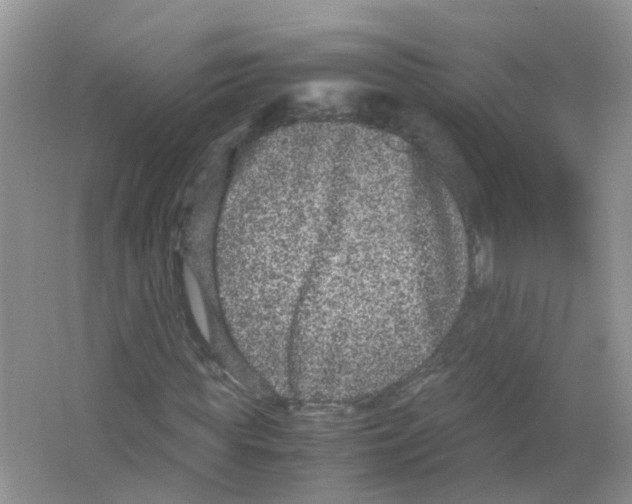 X0000063500819200602172116