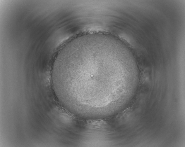 X0000063500824200602172116