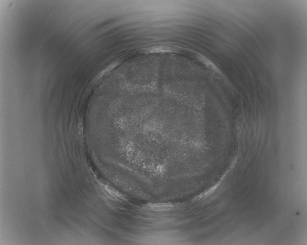 X0000063500825200602172116