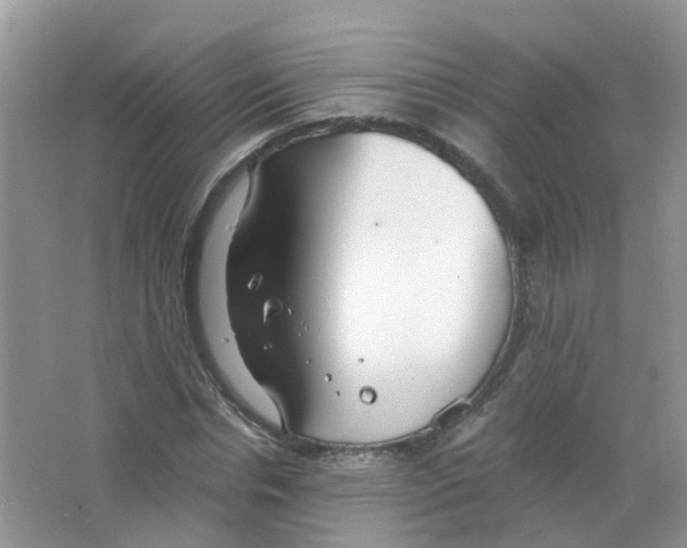 X0000063500826200602172116