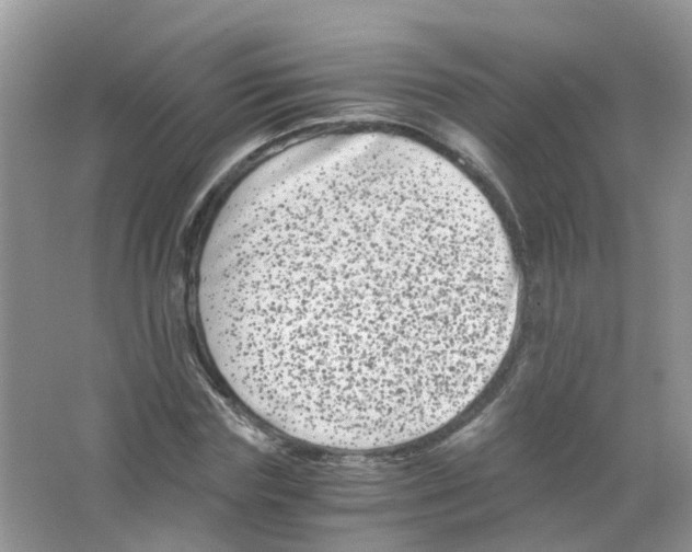 X0000063500827200602172116