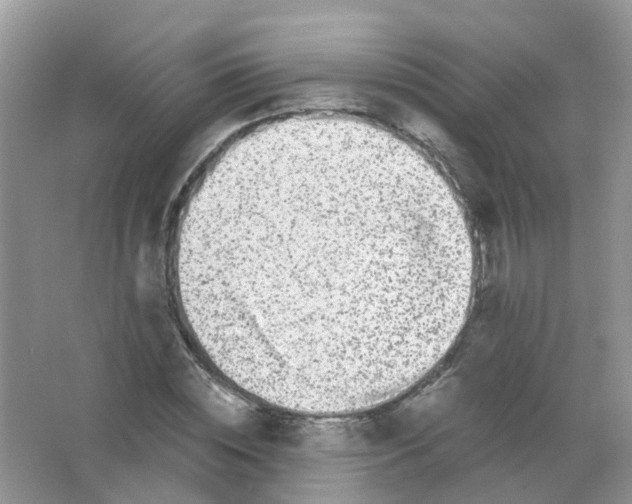 X0000063500828200602172116