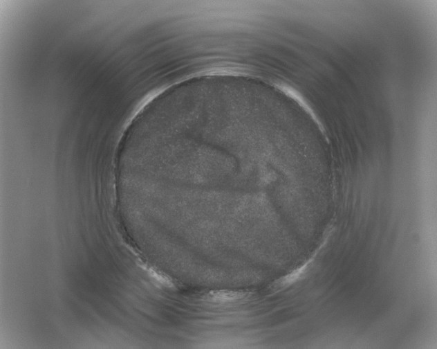 X0000063500829200602172116